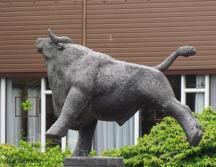 Stier, Alphen aan de Rijn