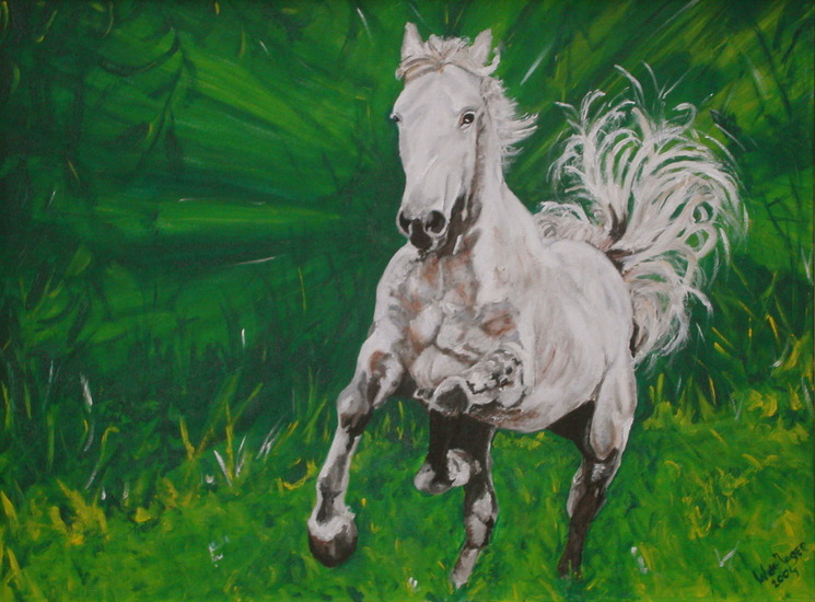 lipizzaner in het groen