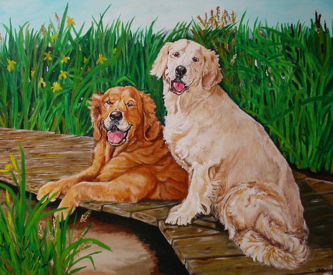 golden retrievers
