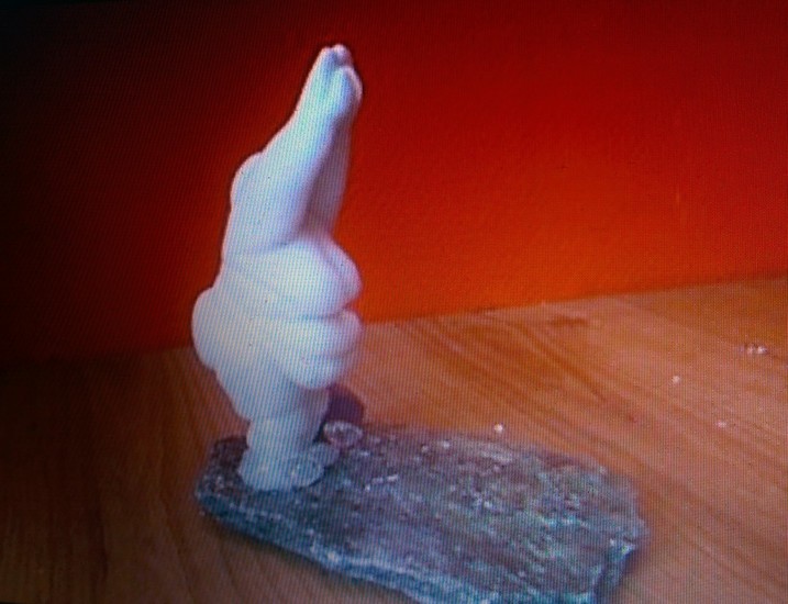 het duikende vrouwtje