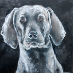 zo trouw als ze zijn,