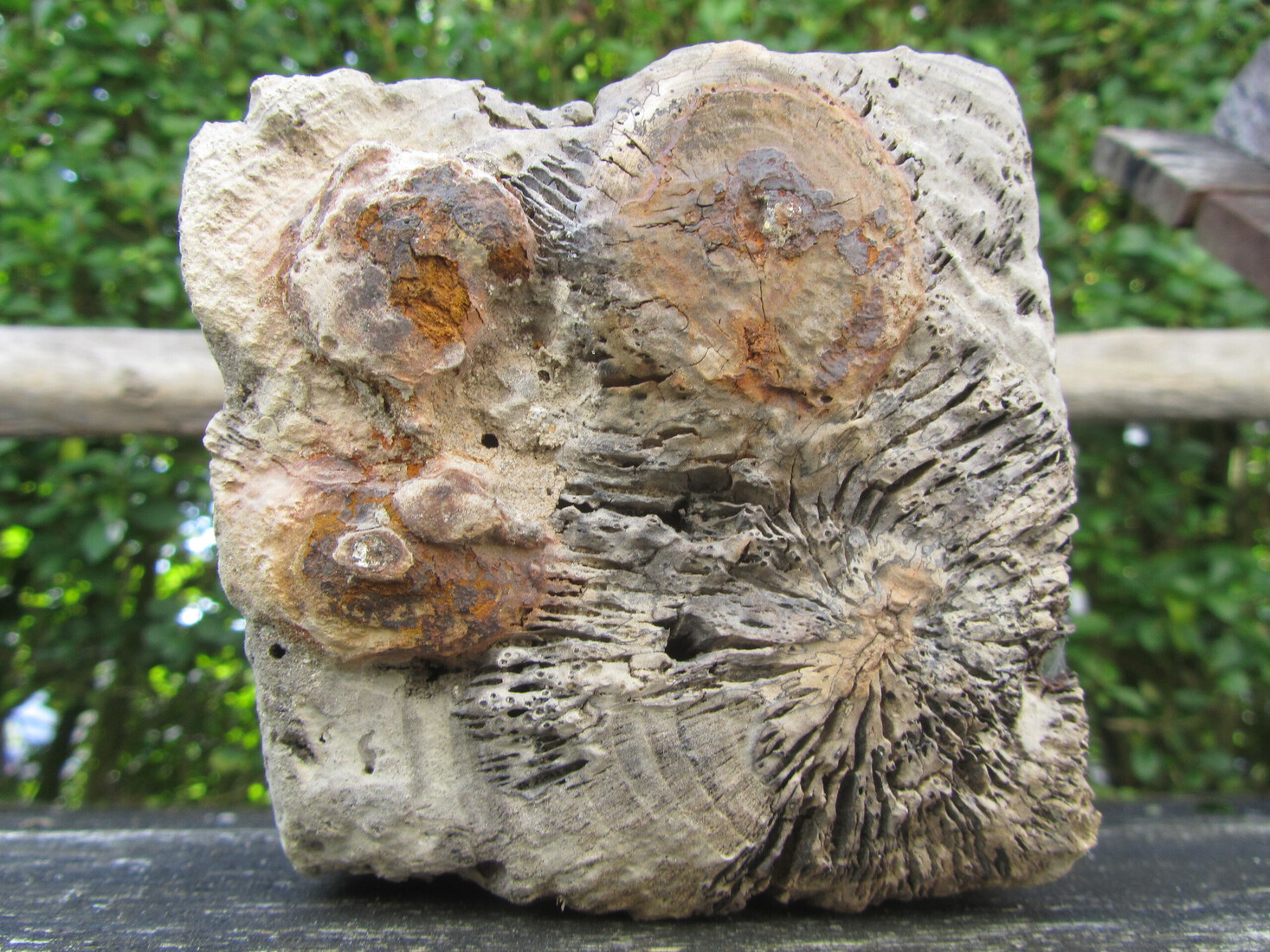 Shaped by Nature, Shaped by Men 2