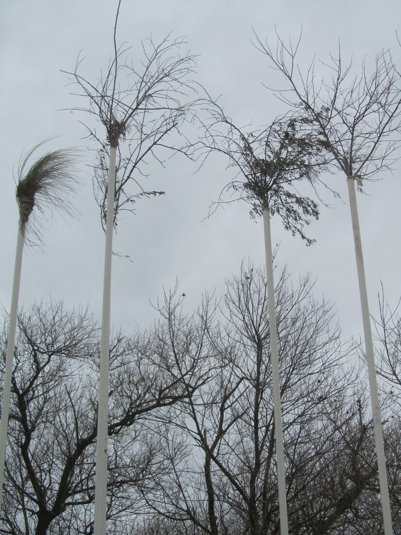 Kraaiennest 1     Shaped by Nature / Shaped by Men