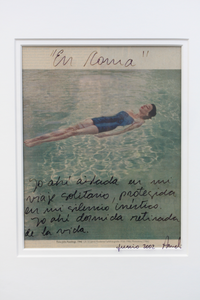 Poemas integrados con arte visual. 
Poems integrated into visual art.
