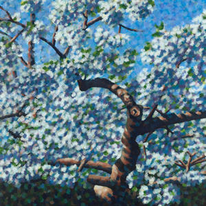 Ik schilder vooral in acryl op linnen. Liefst op grotere formaten. Ik schilder impressies uit de natuur in korte streken met de platte kwast. ‘Grof pointilleren’ noem ik het zelf. Ik werk zowel autonoom als in opdracht.