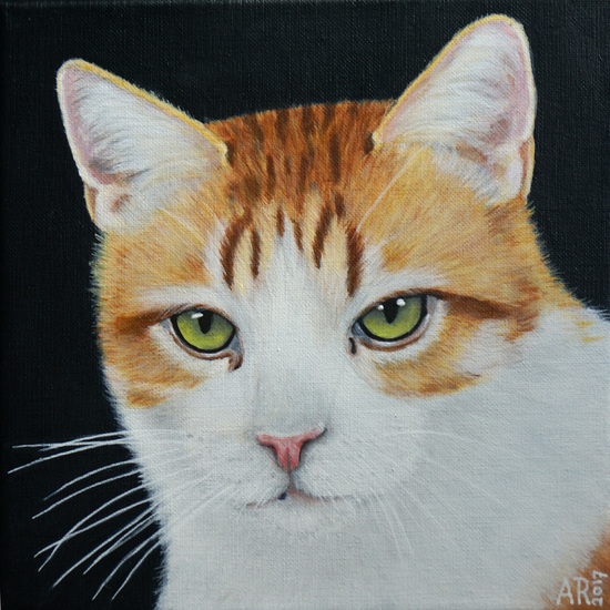 ROODWITTE KAT
