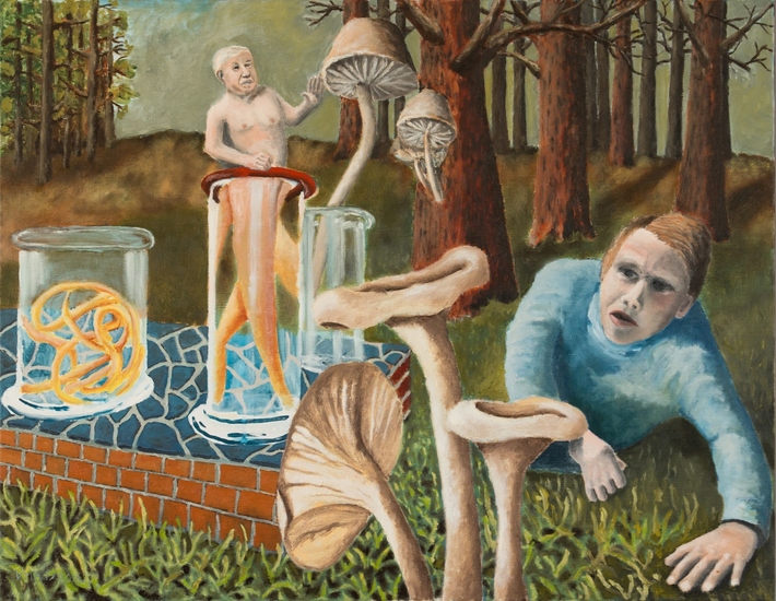 Het paddenstoelen experiment