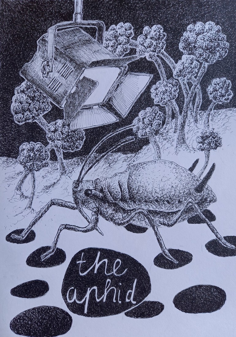 The Aphid