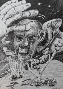 Werken op papier in diverse technieken