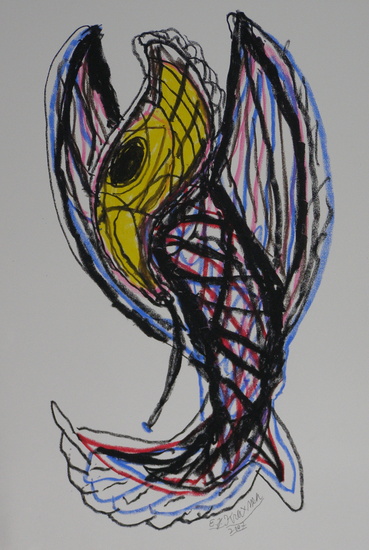 Kolibrie 3