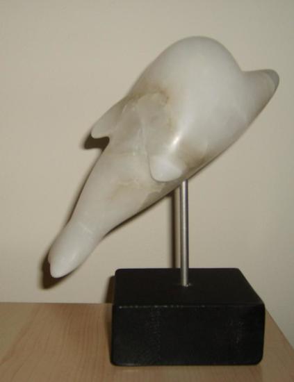 Uit de collectie: Dolfijn