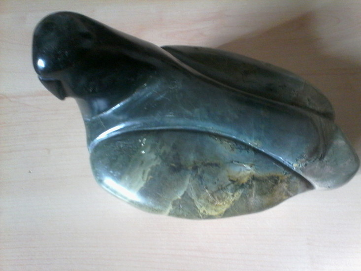 Uit de collectie: Duif