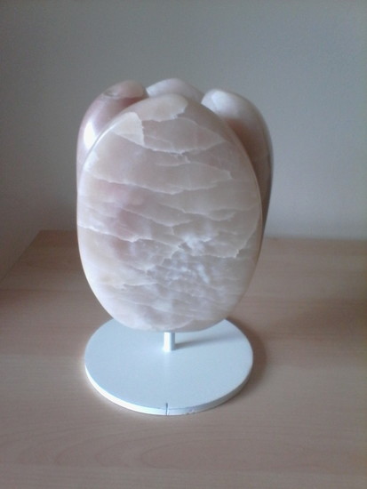 Uit de collectie: Roze Tulp