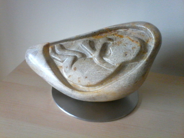 Uit de collectie: Embryo