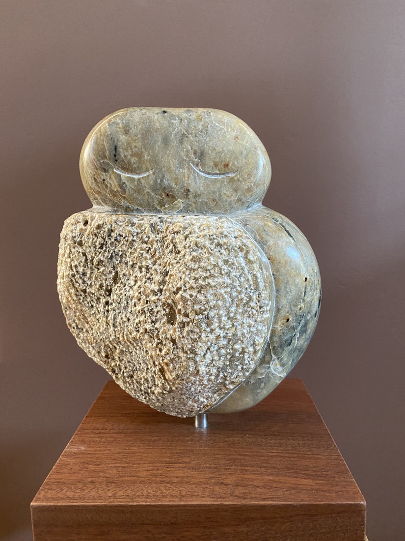 Uit de collectie: Uiltje jong