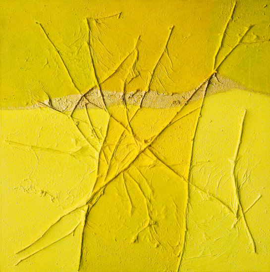 Birch yellow