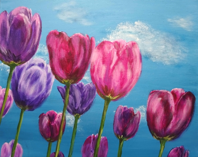 Colored tulips in the blue sky