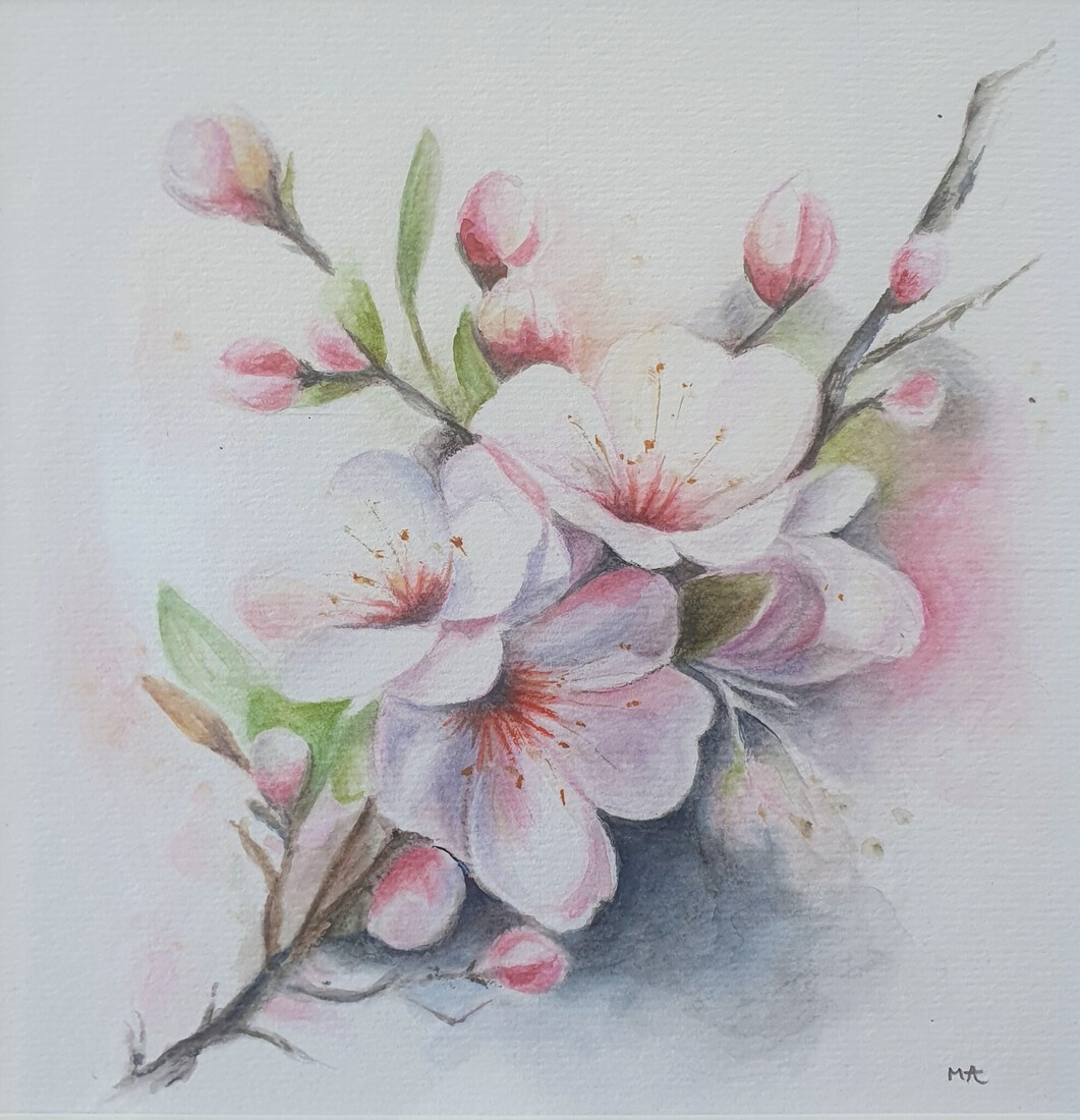Appelbloesem
