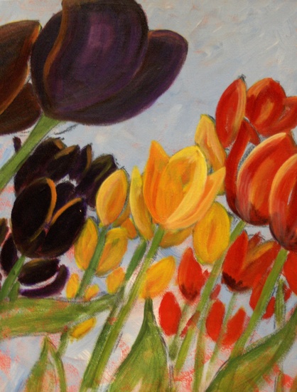 Tulpen