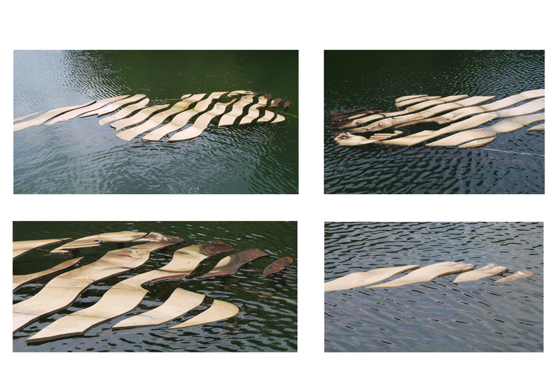 reflection of a sleeping beauty 2