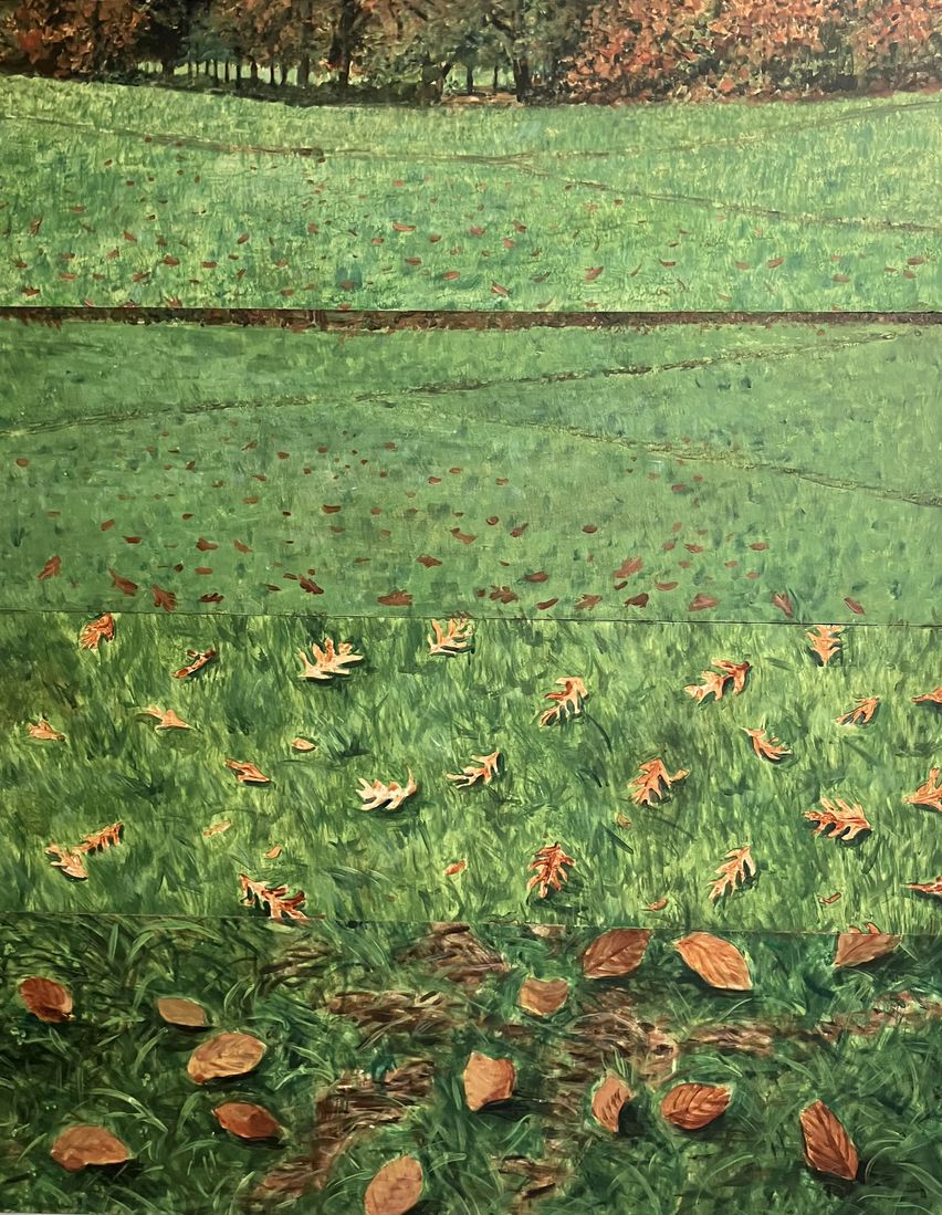 Different focus on a landscape, Renkum october 2022