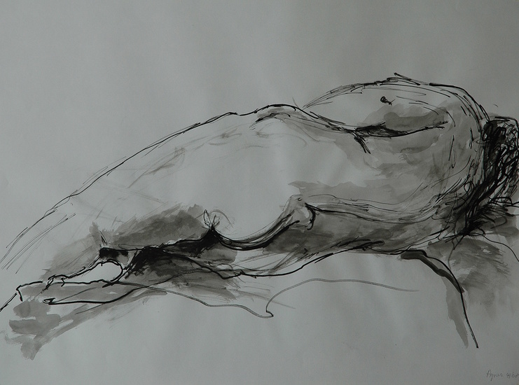 Laying model seen on back