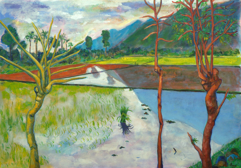 Rice fields at the start of the planting season