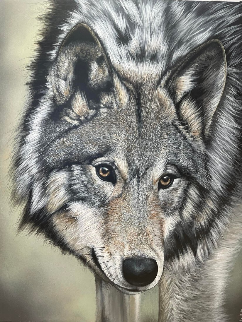 'THE GRAY WOLF'
