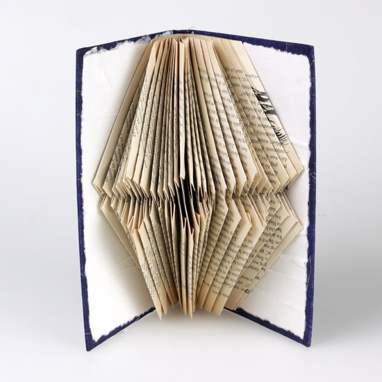 Gevouwen boek (10)