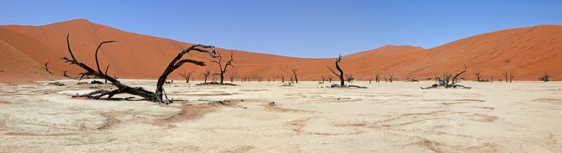 Deadvlei