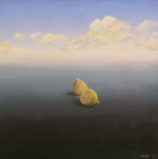 Gehalveerde Citroen in staat van Eenzaamheid