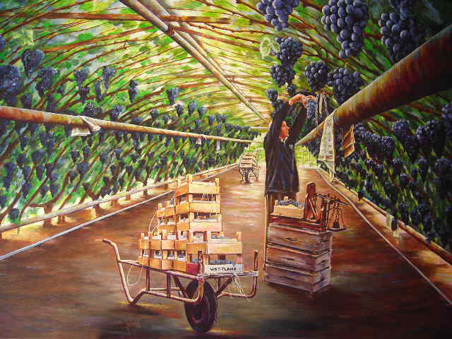 Historische druivenkas (II)