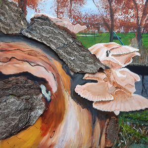 Rondje Buren - Errekom