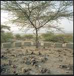 Serie foto's gemaakt in India.