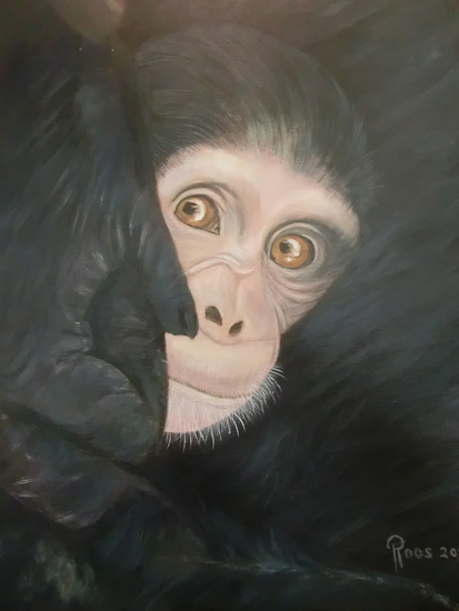 chimpansee kleuter