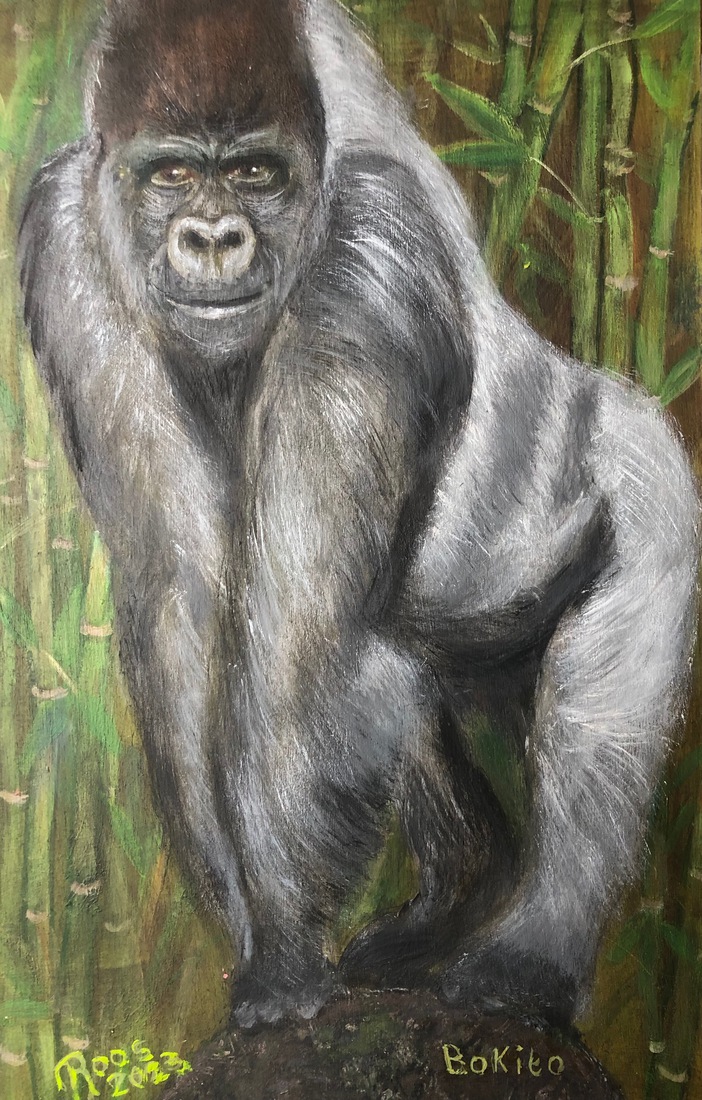 Bokito zilverrug gorilla