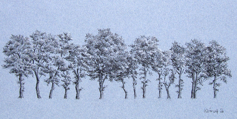 Eiken bij Oud Aalden
