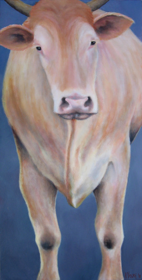 Blonde d'Aquitaine rund