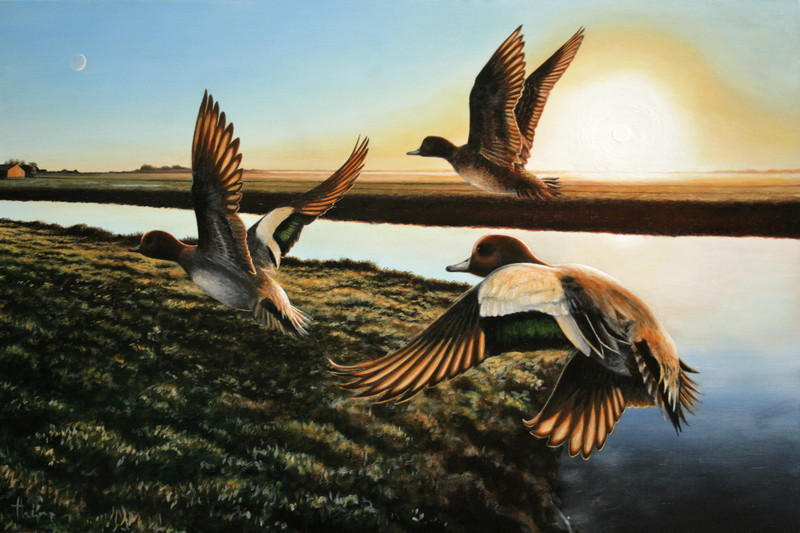 Collectief Bewustzijn