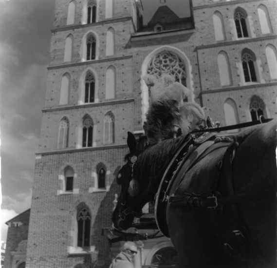 Kraków