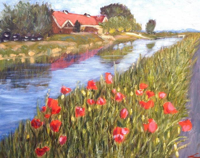 Landschap met papavers