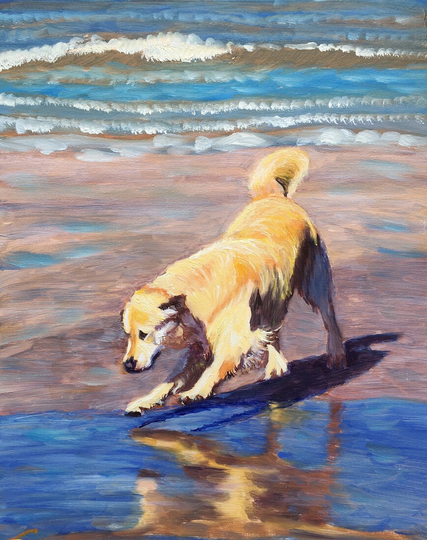 Hond bij de zee 4