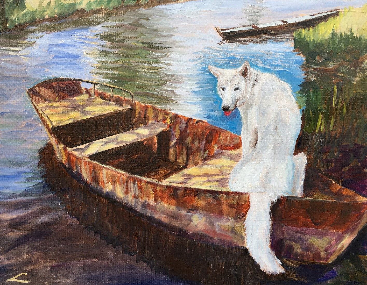 Hond in een boot