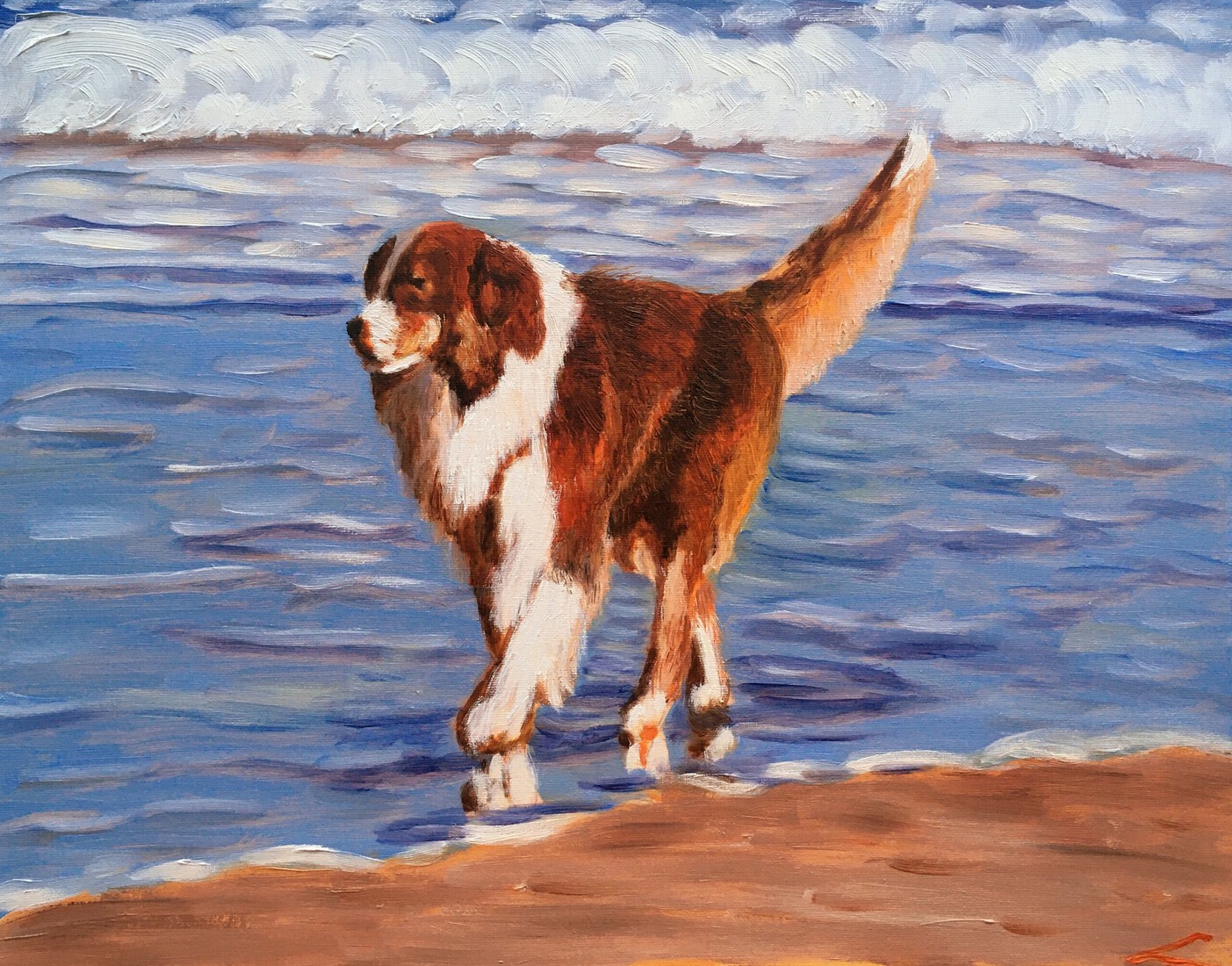 Hond bij de zee 5