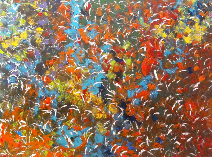 Zo vrij als de vogels