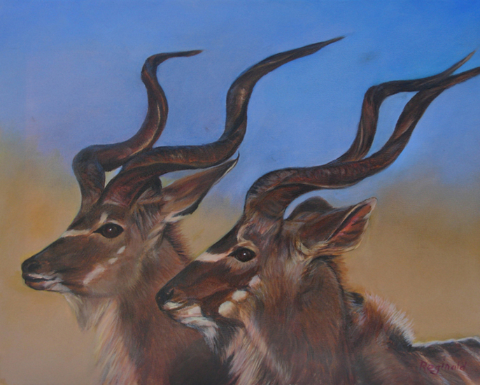 Afrikaanse antilopen