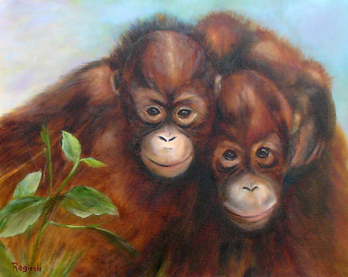 Chimpansees, ''Apenliefde''