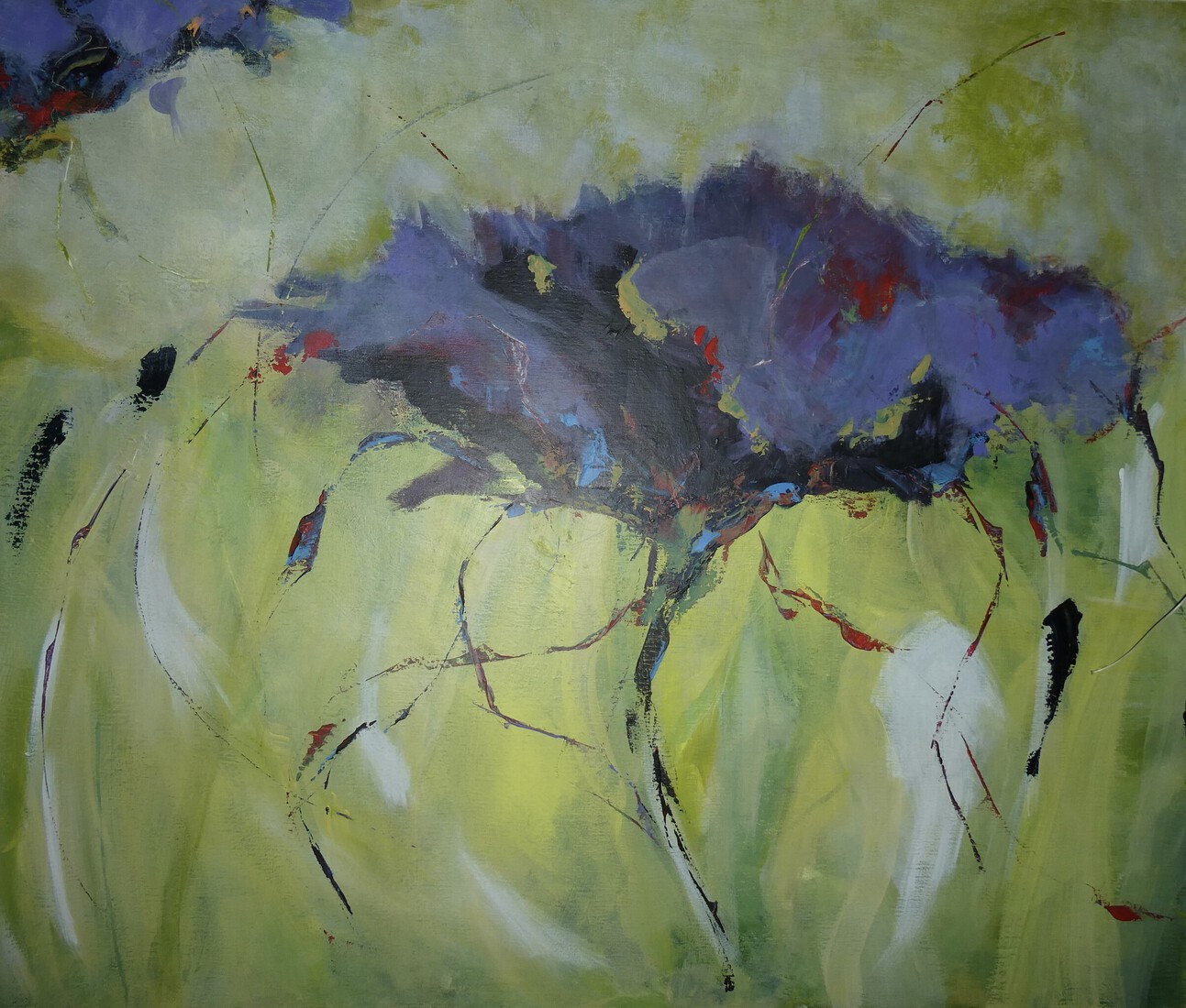 Wind over het veld