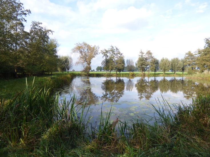 Slingelandse plassen