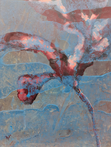 tekeningen met acrylinkt